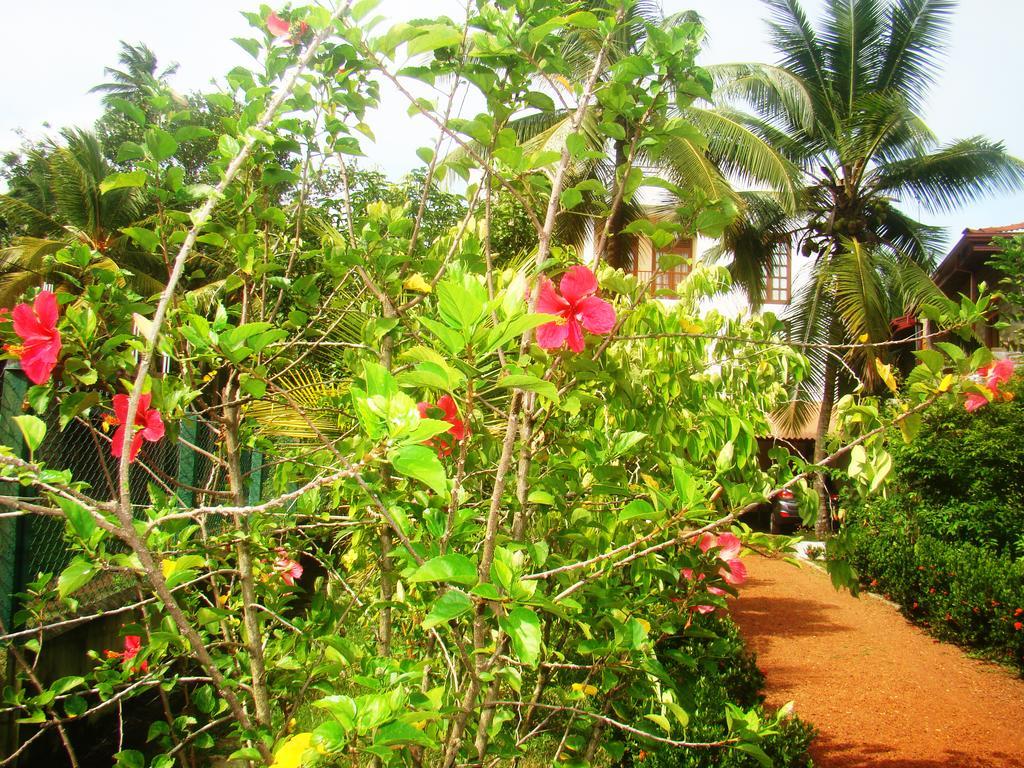 Bentota Homes Exteriér fotografie