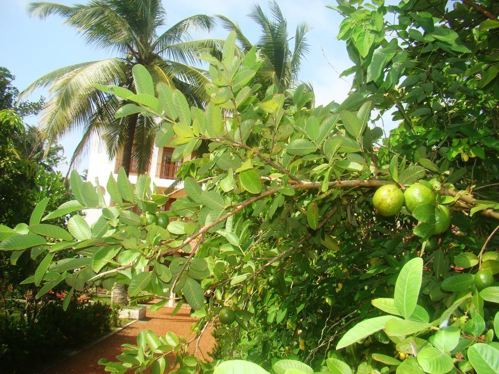 Bentota Homes Exteriér fotografie
